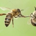 Аватар (Сергей Галкин)