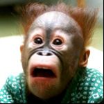 Аватар (АлексП)