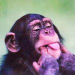 Аватар (Дмитрий)